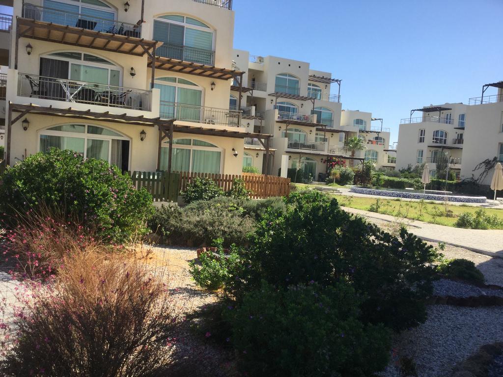 Aphrodite Beachfront Apartment Ghaziveran Eksteriør billede