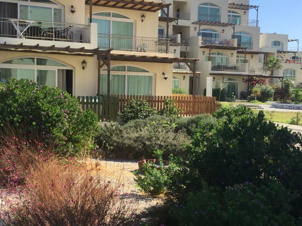 Aphrodite Beachfront Apartment Ghaziveran Eksteriør billede